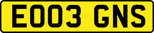 EO03GNS