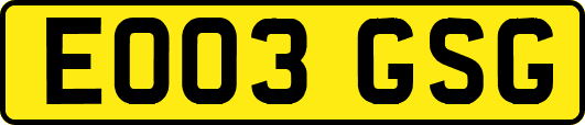 EO03GSG