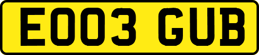 EO03GUB