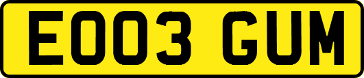 EO03GUM