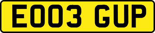 EO03GUP
