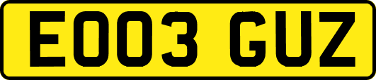 EO03GUZ