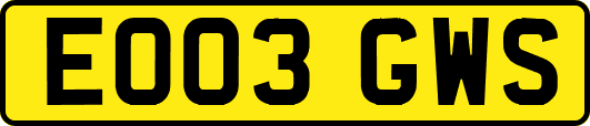 EO03GWS