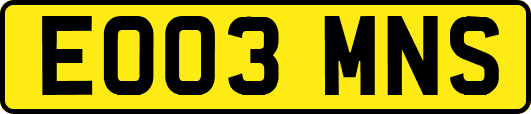 EO03MNS