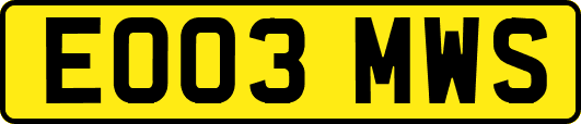 EO03MWS