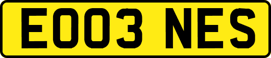 EO03NES