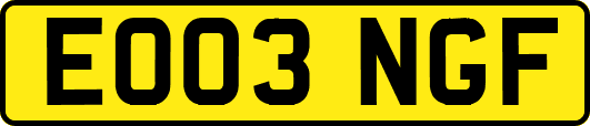 EO03NGF