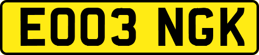 EO03NGK