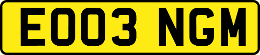 EO03NGM