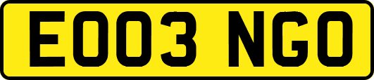 EO03NGO