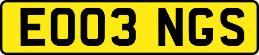 EO03NGS