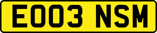 EO03NSM