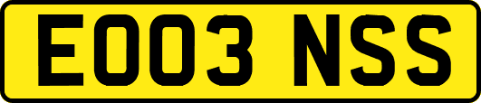 EO03NSS