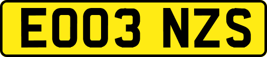 EO03NZS