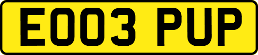 EO03PUP
