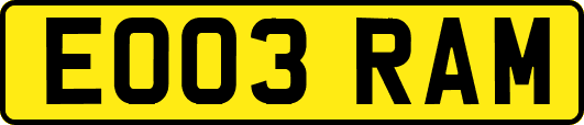 EO03RAM