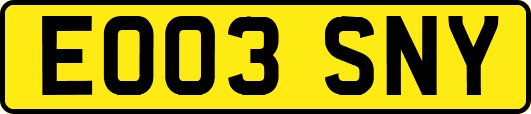 EO03SNY