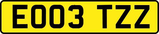 EO03TZZ