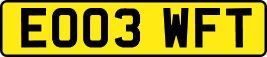 EO03WFT