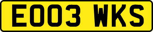 EO03WKS