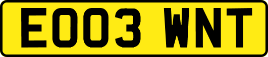 EO03WNT