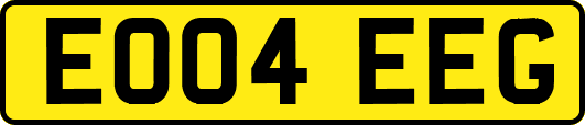 EO04EEG