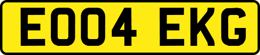 EO04EKG