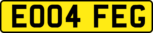 EO04FEG