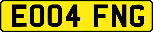 EO04FNG