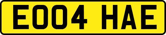 EO04HAE
