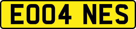 EO04NES