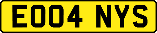 EO04NYS