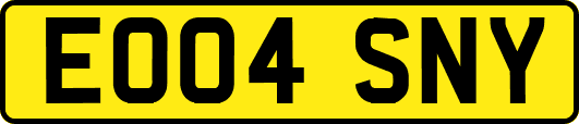 EO04SNY