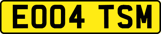 EO04TSM