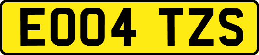 EO04TZS