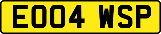 EO04WSP