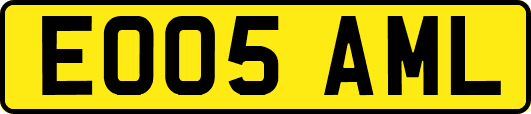 EO05AML