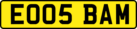 EO05BAM