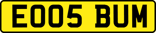 EO05BUM