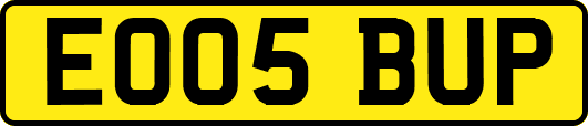 EO05BUP