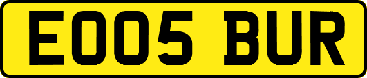 EO05BUR