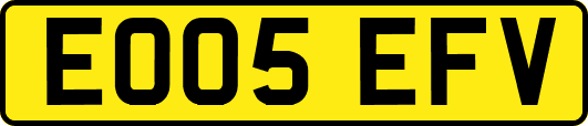 EO05EFV