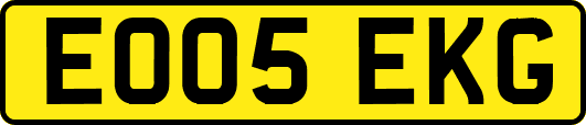 EO05EKG