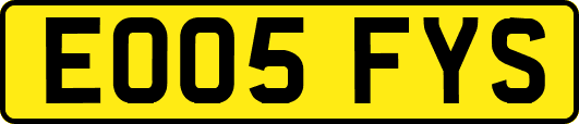 EO05FYS