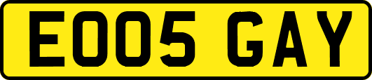 EO05GAY