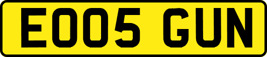 EO05GUN