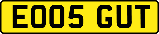 EO05GUT