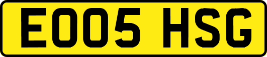 EO05HSG