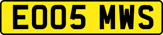 EO05MWS