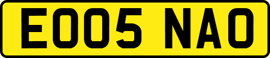 EO05NAO